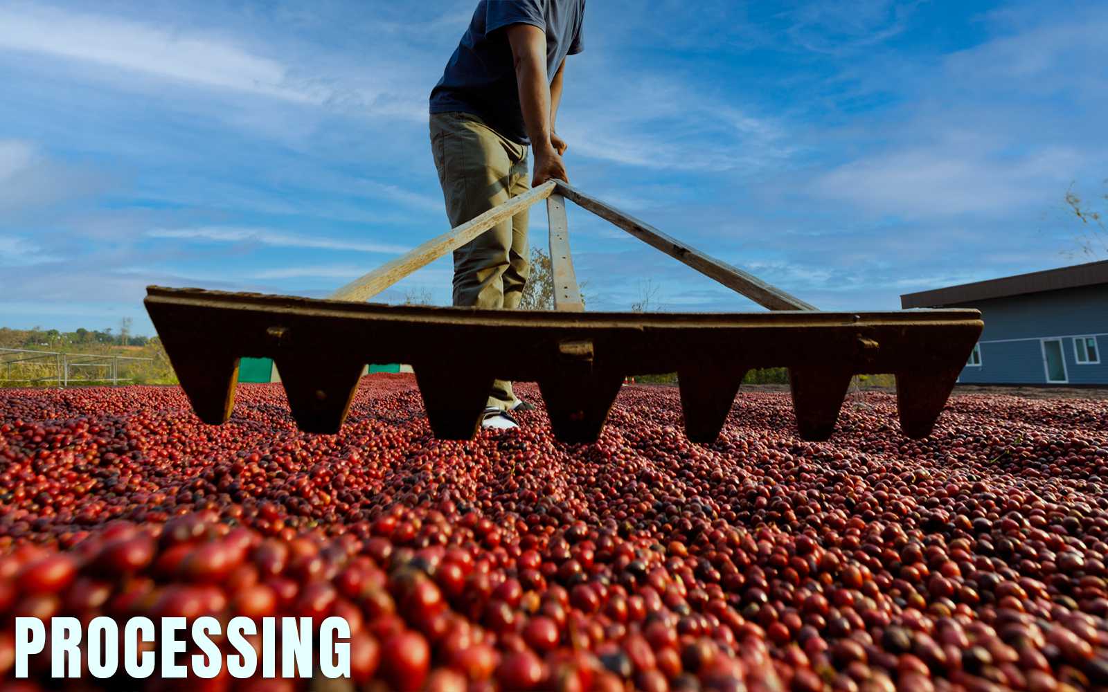 Quality Control Processing